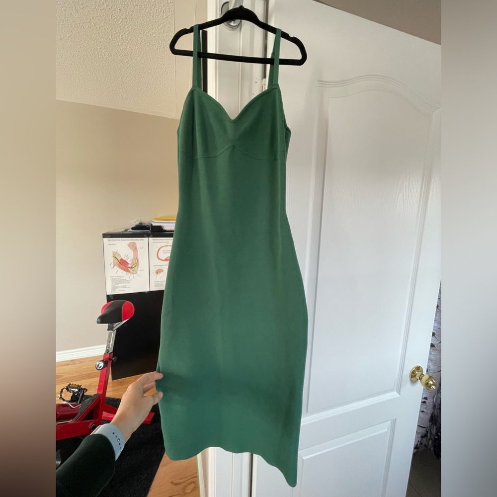 Aritzia Babaton Lariat dress green